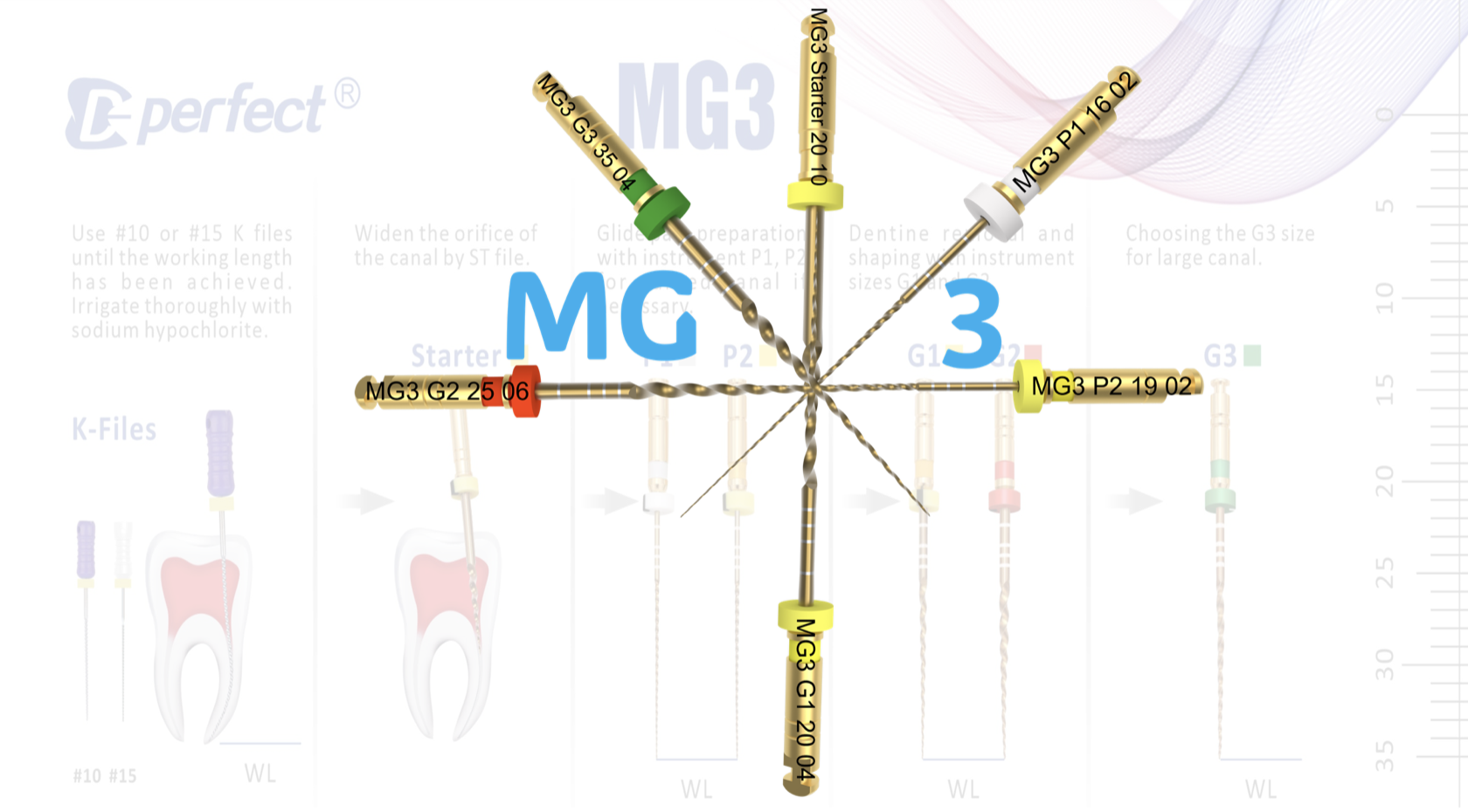 MG3 let's shape calcified and moderately curved root canals