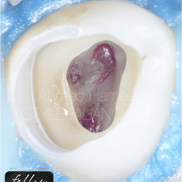 Screenshot-2023-07-14-alle-13.